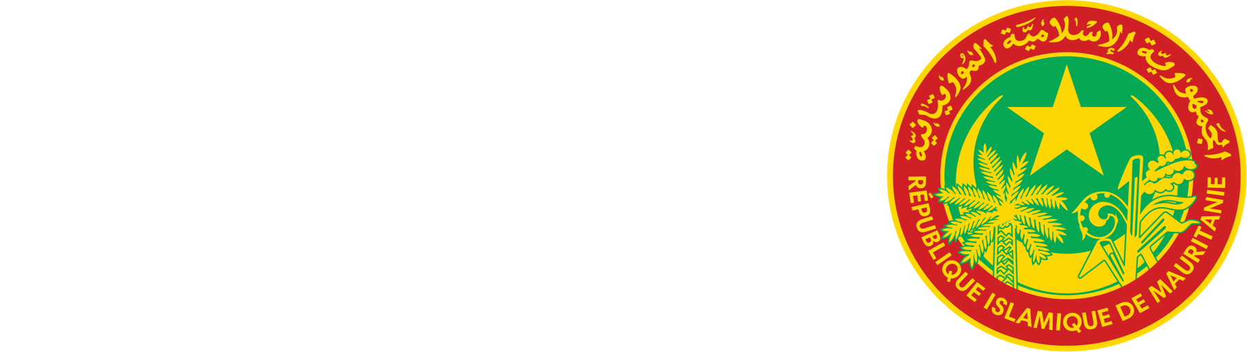 الرئيسية